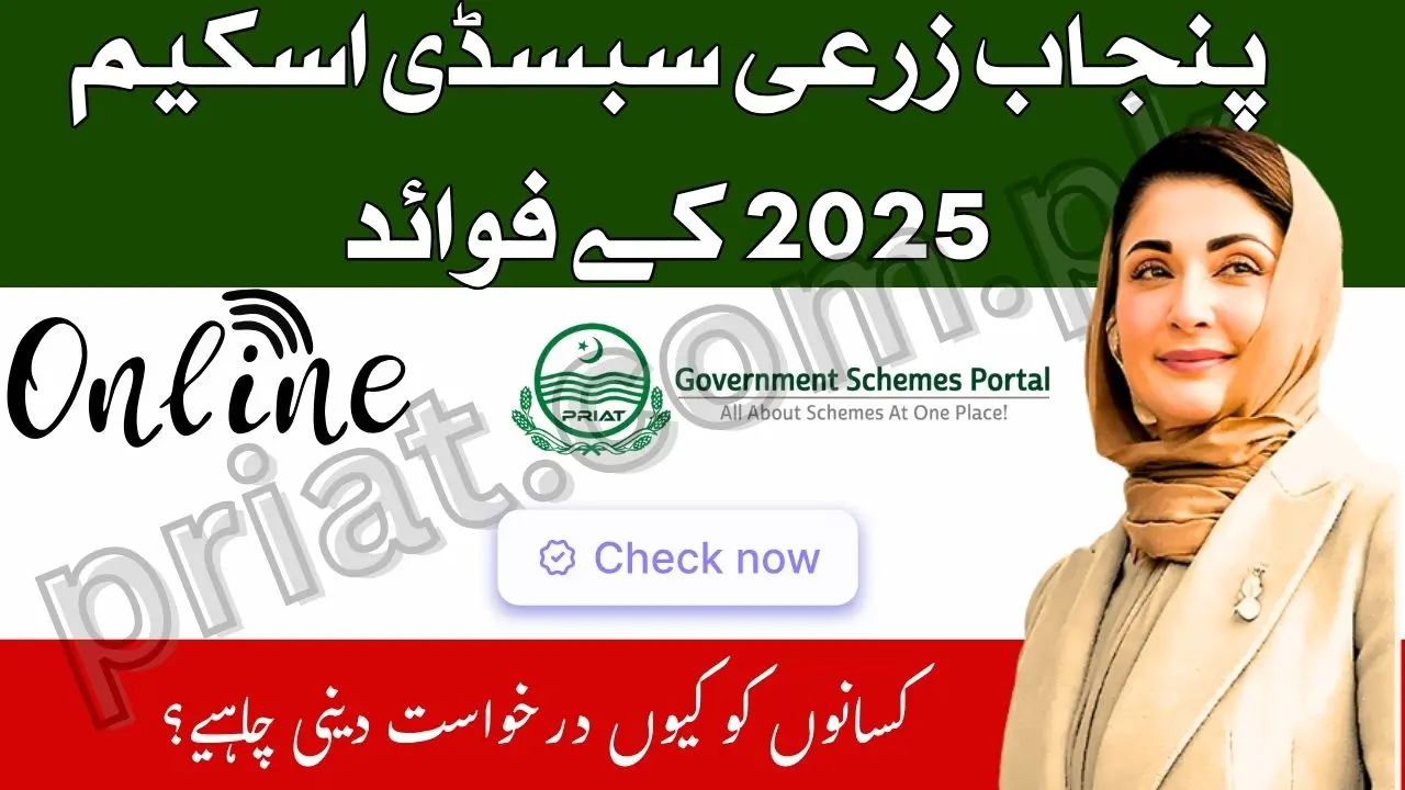 Benefits of Punjab Agricultural Subsidy Scheme 2025