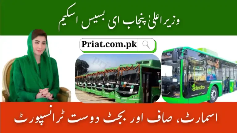 CM Punjab E-Buses Scheme