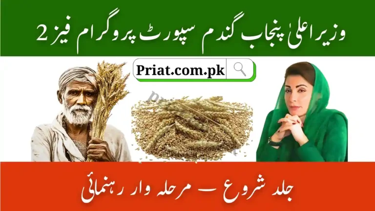 CM Punjab Wheat Support Program Phase 2