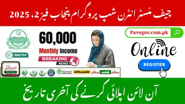 Chief Minister Internship Program Punjab Phase 2