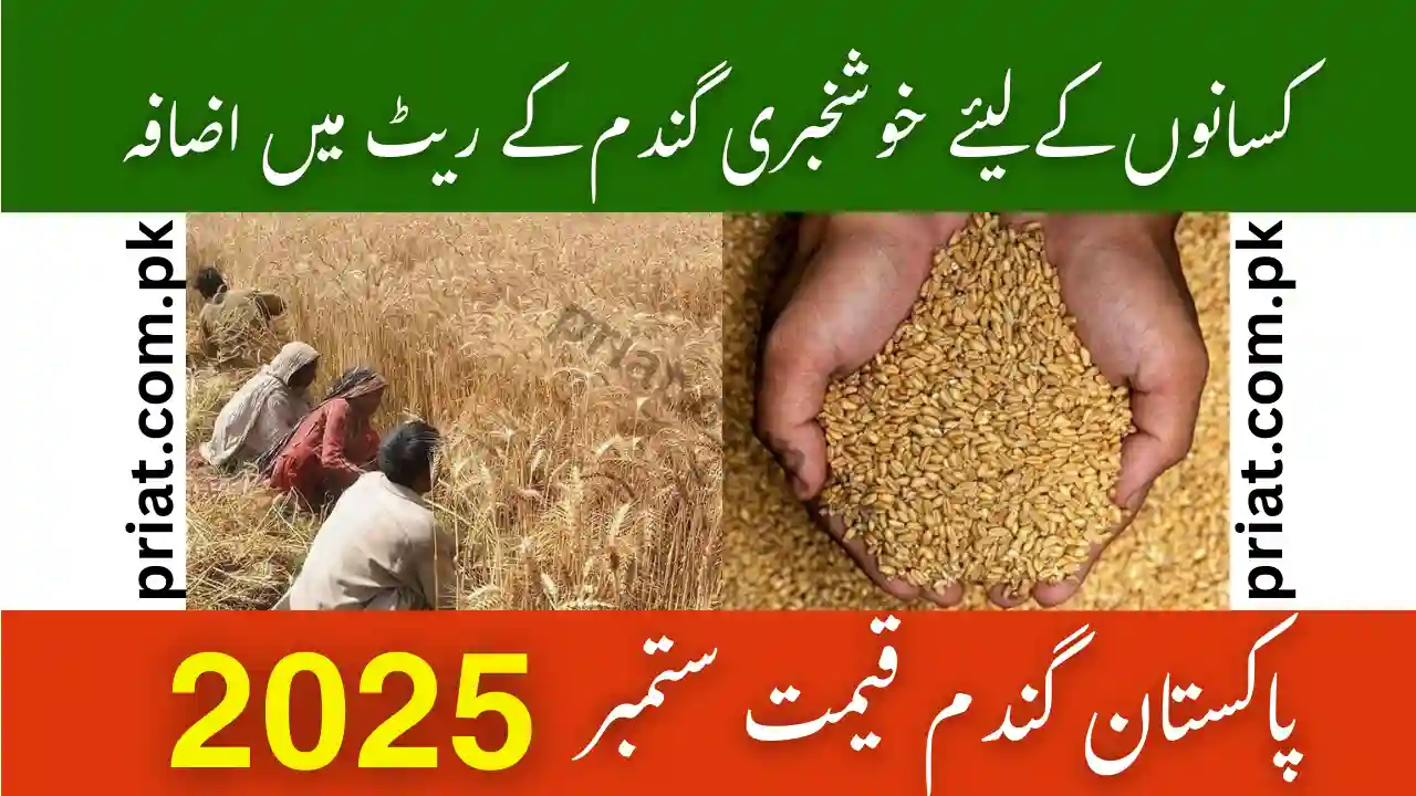 Gandam Price September