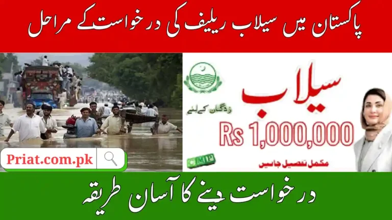Maryam Nawaz Flood Relief Scheme