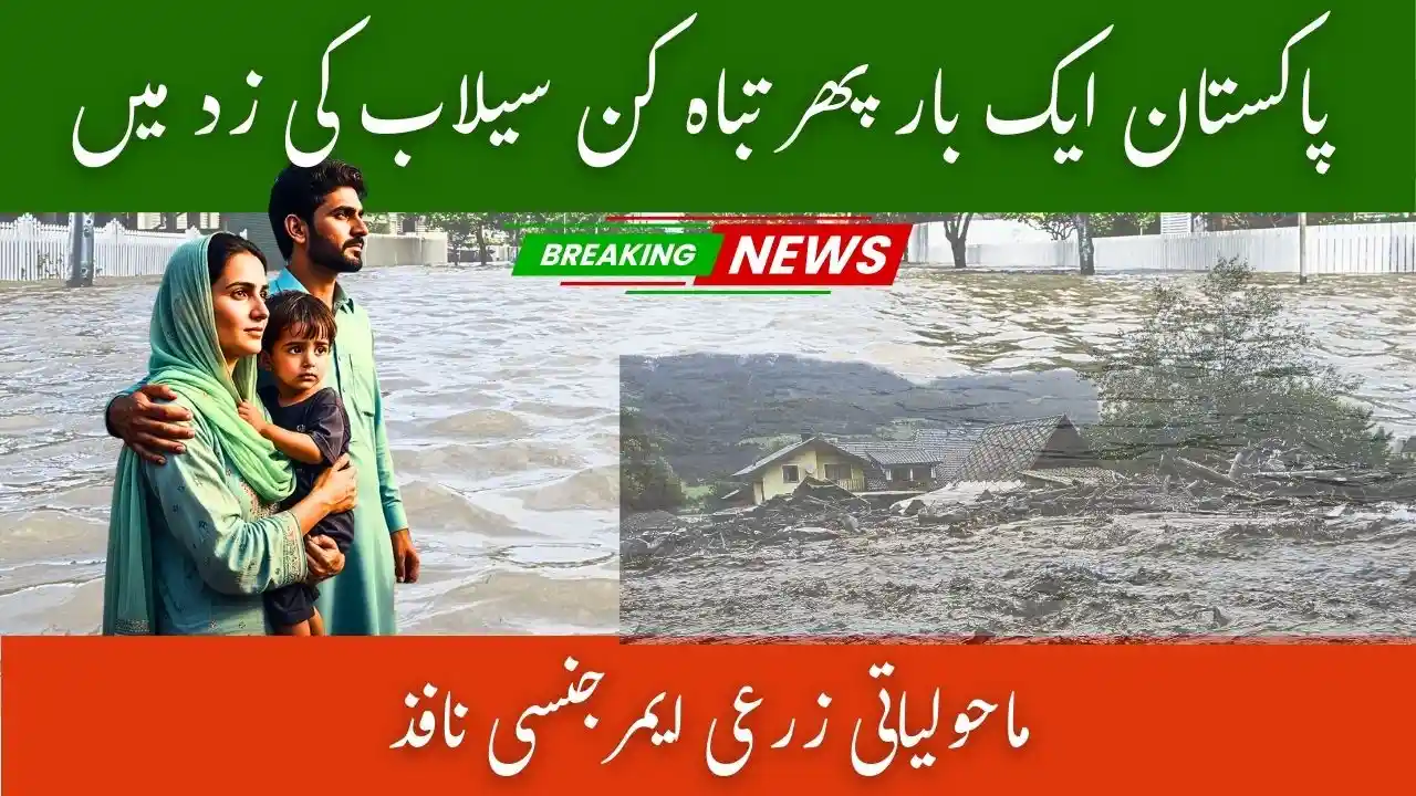 Pakistan Declares Agricultural Emergency After Floods