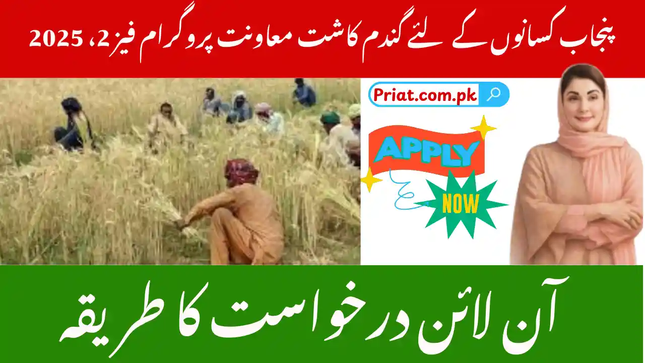 Punjab Farmers in Wheat Cultivation Support Program Phase 2