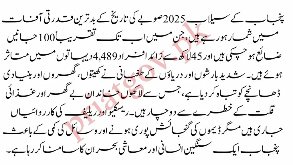 Punjab Floods 2025 Death Toll Nears 100 Around 4.5 Million People Affected 2