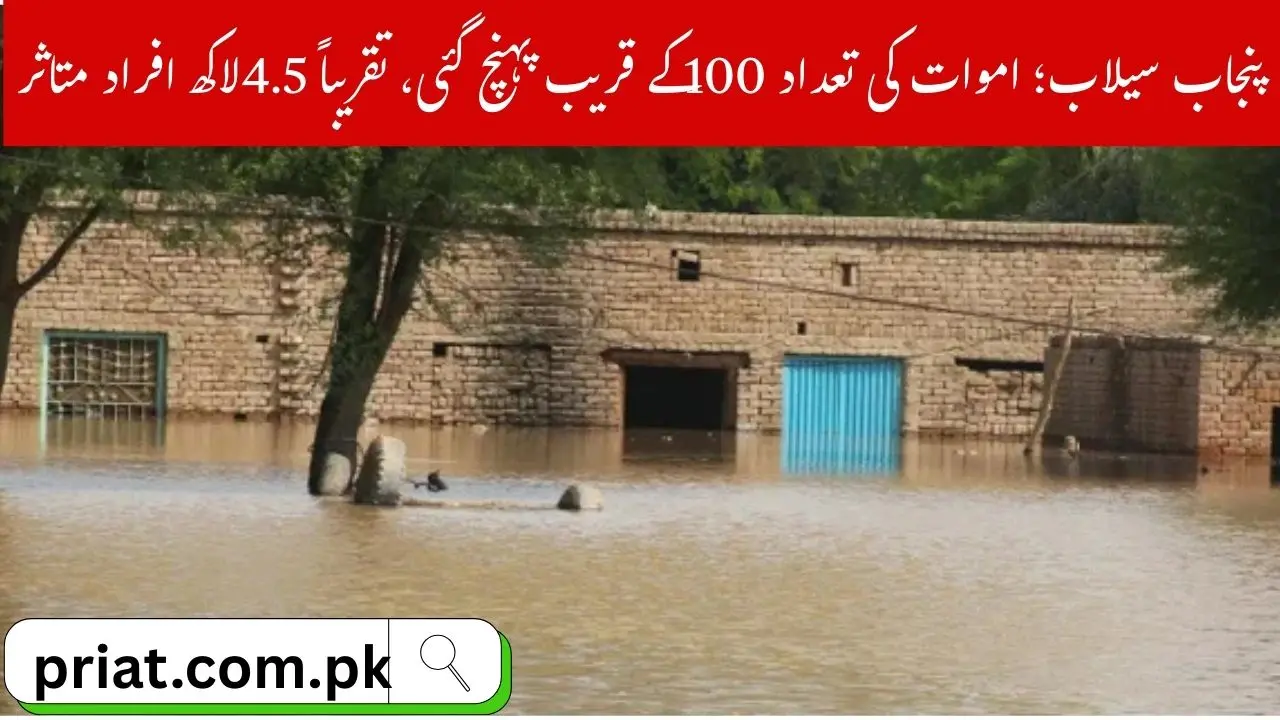Punjab Floods 2025 Death Toll Nears 100 Around 4.5 Million People Affected