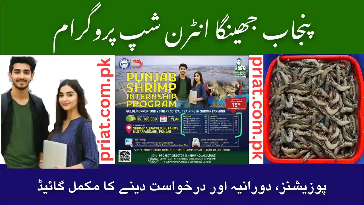 Punjab Shrimp Internship Program 2025 – Full Guide on Positions, Duration & How to Apply 1 Punjab Shrimp Internship Program