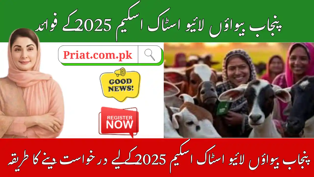 Punjab Widows Livestock Scheme 2025