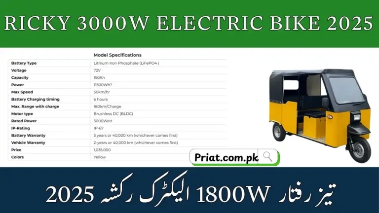 Ricky 3000W Electric Bike 2025