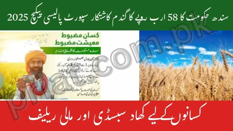 Sindh Govt Launches Rs58bn Wheat Support Policy