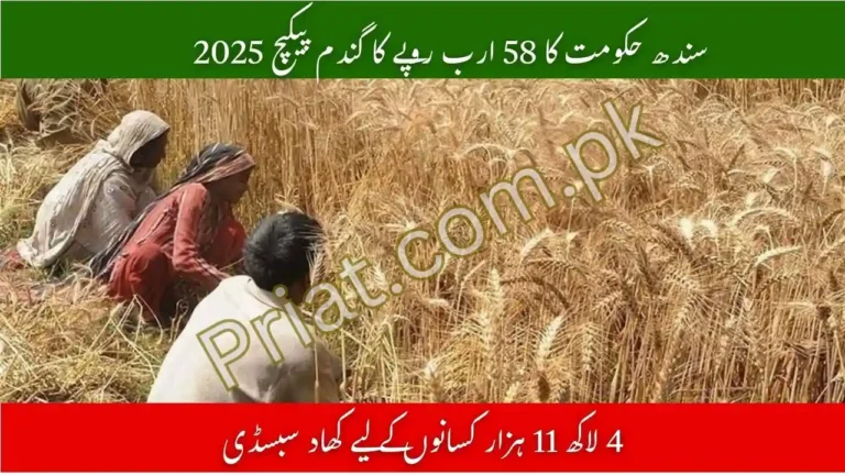 Sindh Govt Rs58bn Wheat Package 2025