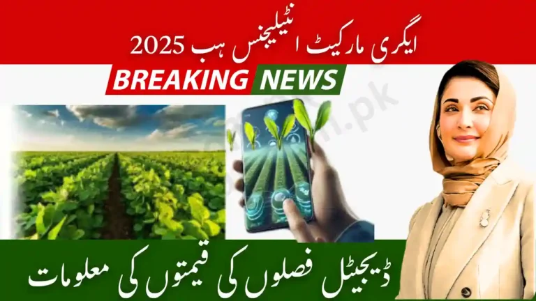 Agri Market Intelligence Hub 2025