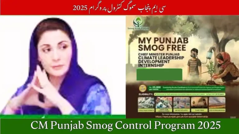 CM Punjab Smog Control Program 2025
