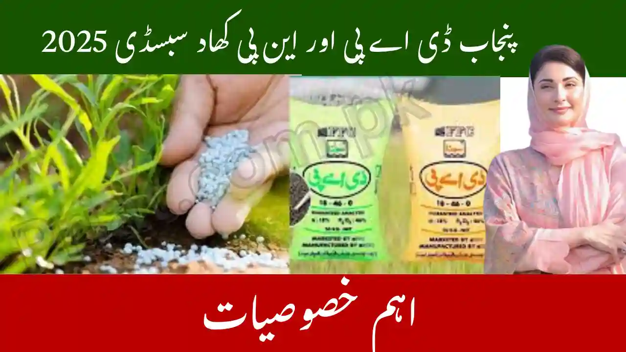 Punjab DAP and NP Fertilizer Subsidy 2025