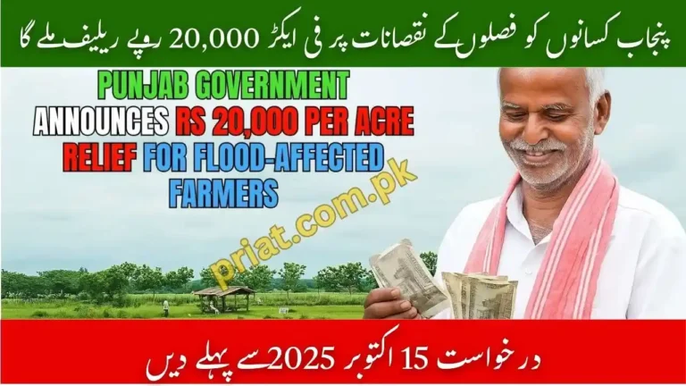 Punjab Farmers to Get Rs. 20,000 Per Acre Relief for Crop Losses