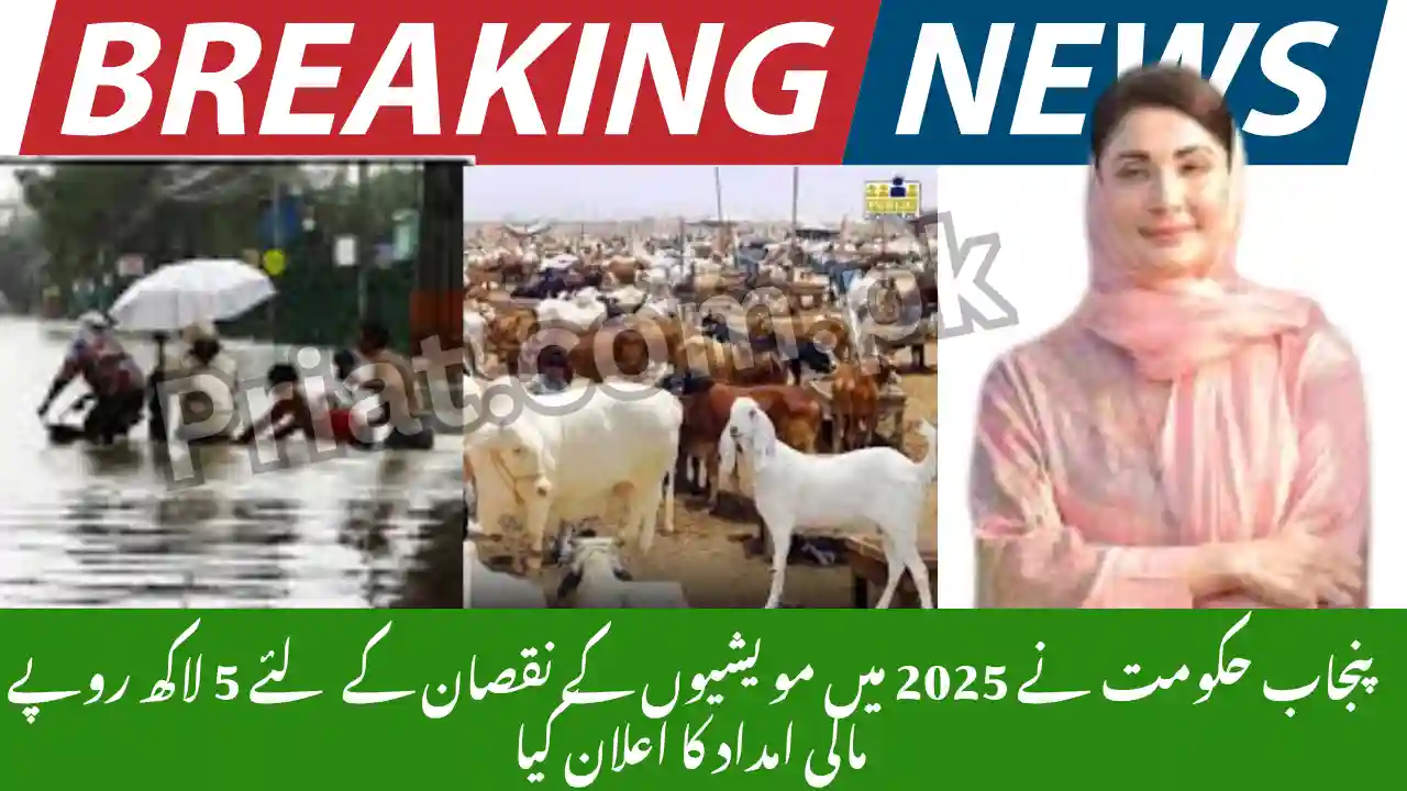 Punjab Government Announces Rs 5 Lakh Financial Aid for Livestock Losses 2025