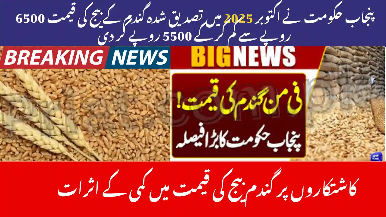 Punjab Government Reduces Certified Wheat Price