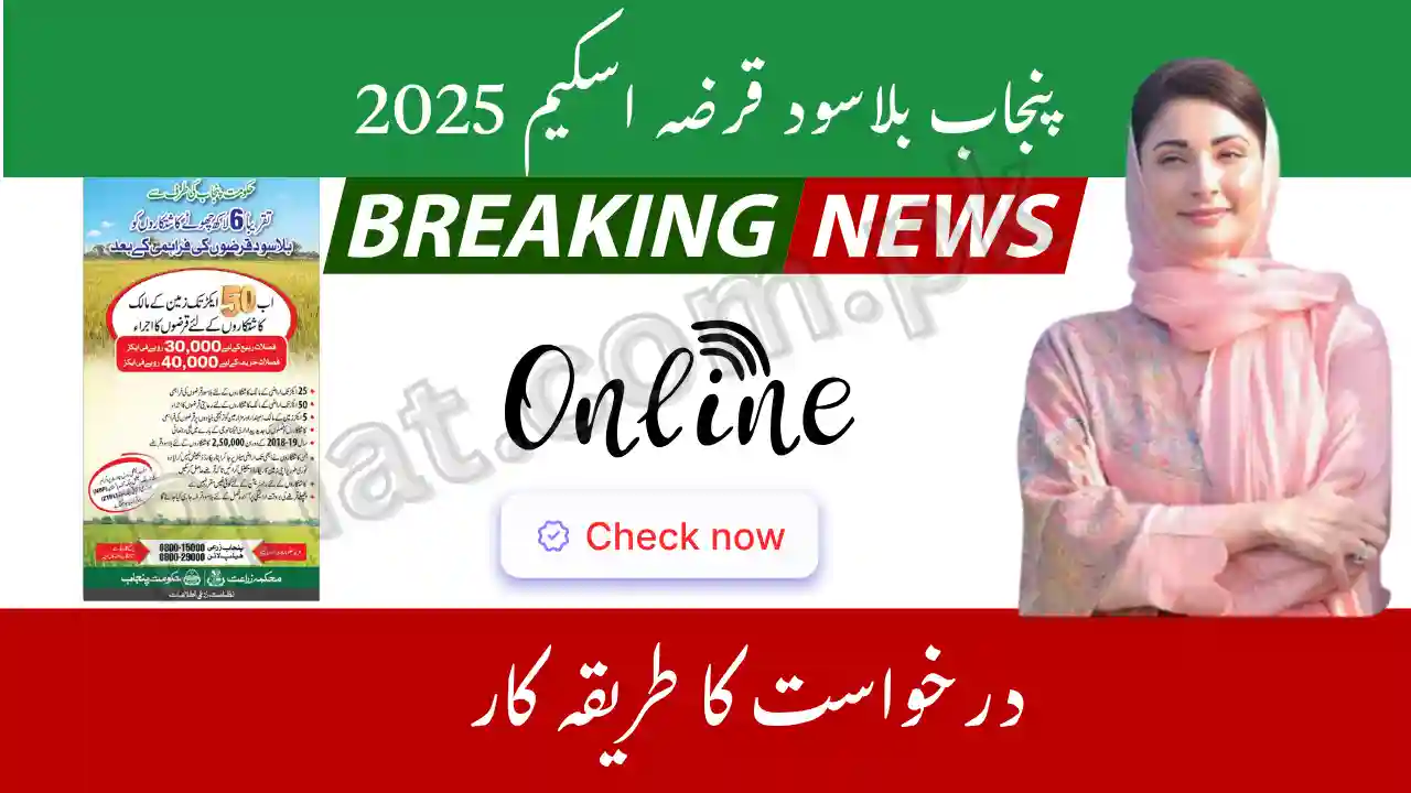 Punjab Interest-Free Loan Scheme 2025