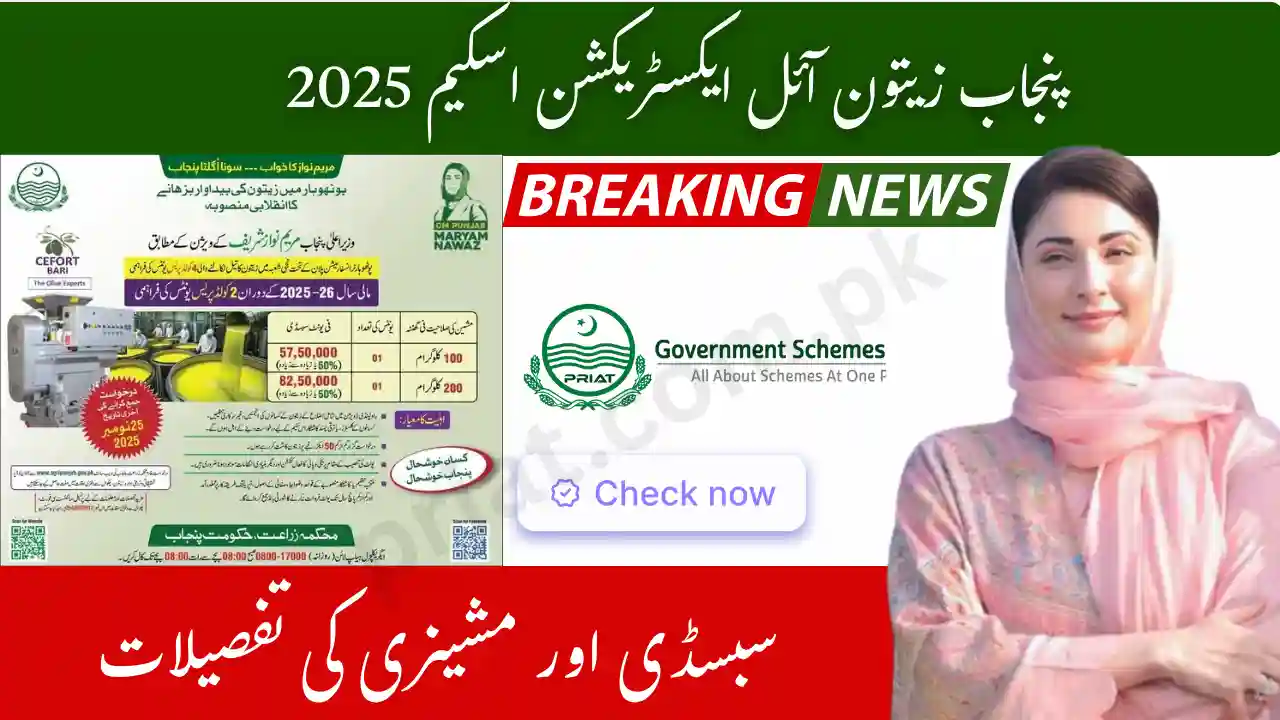 Punjab Olive Oil Extraction Scheme 2025