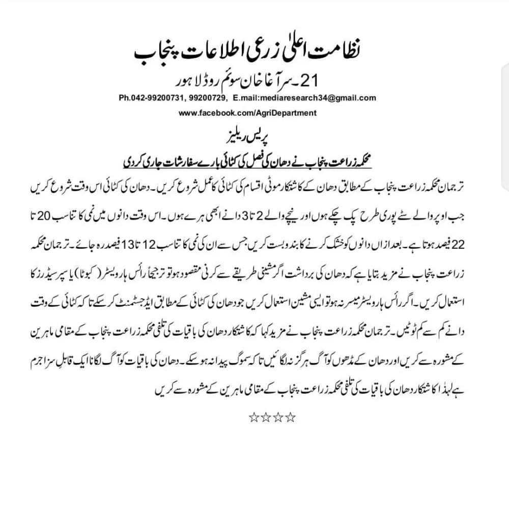 Punjab Rice Crop Harvesting Guide 2025