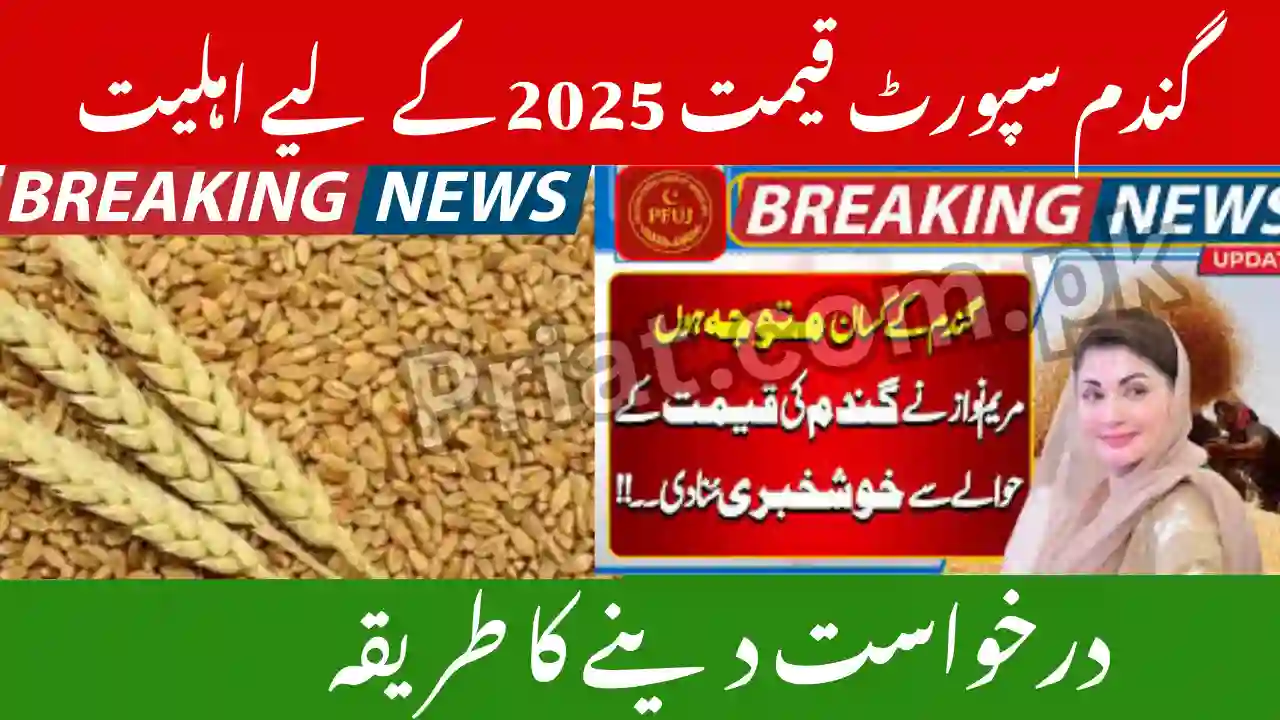 Punjab Wheat Support Price 2026