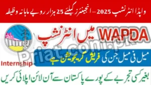 WAPDA Internship 2025 Rs 25000
