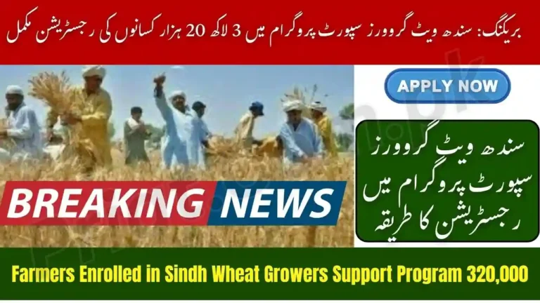 320,000 Farmers Enrolled in Sindh Wheat Growers Support Program