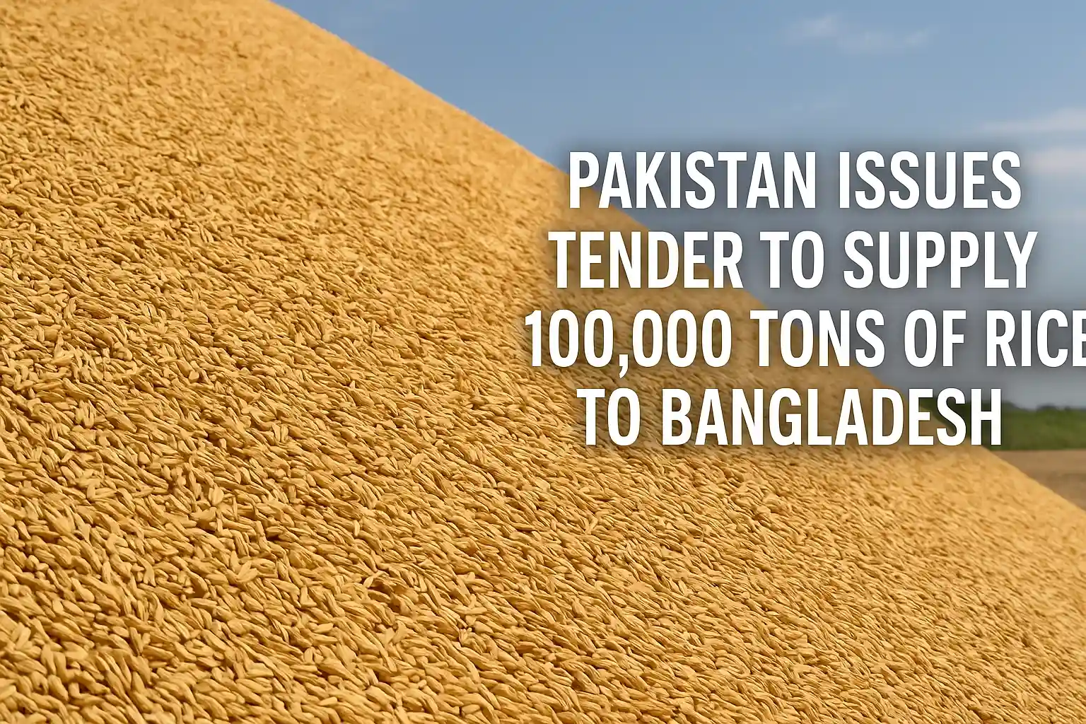 Pakistan Announces Tender to Export 100,000 Tons of Rice to Bangladesh