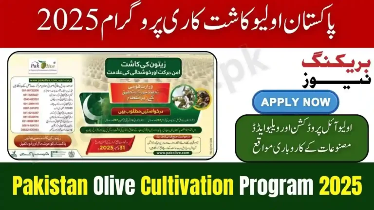 Pakistan Olive Cultivation Program 2025