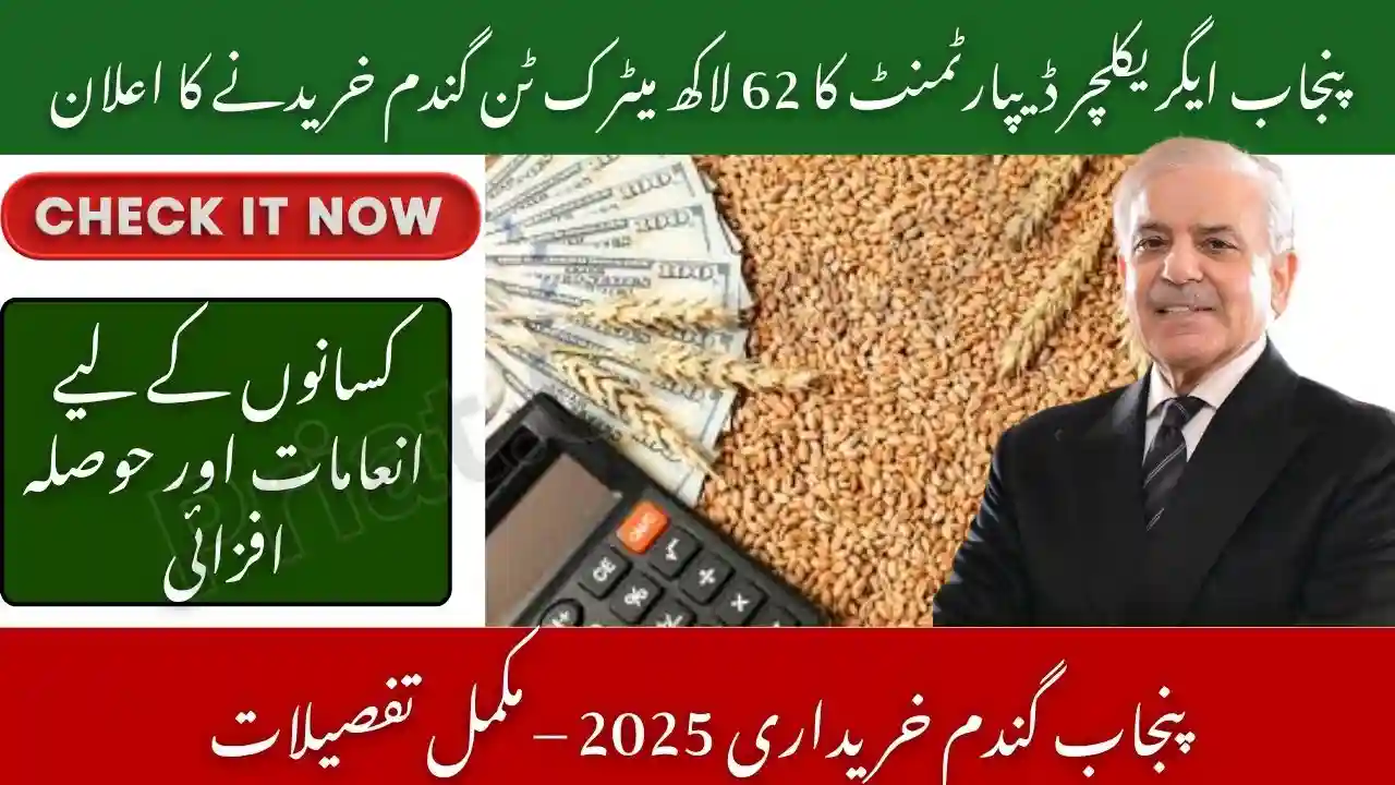 Punjab Agriculture Department to Procure 6.2 Million Metric Tonnes of Wheat