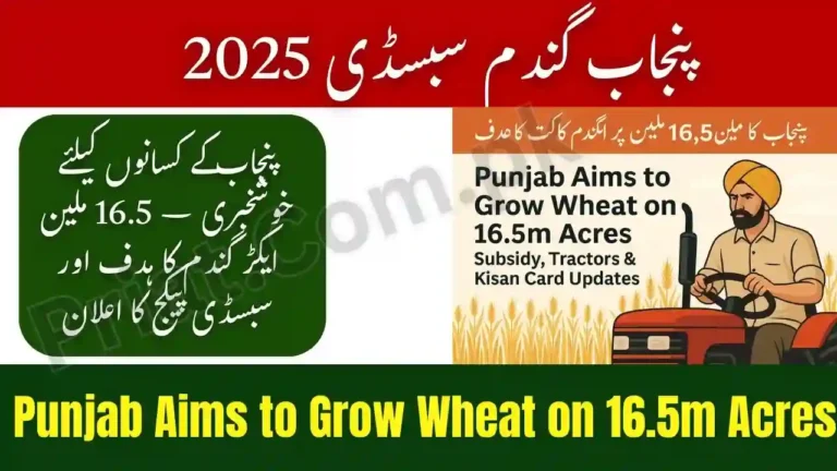 Punjab Aims to Grow Wheat on 16.5m Acres