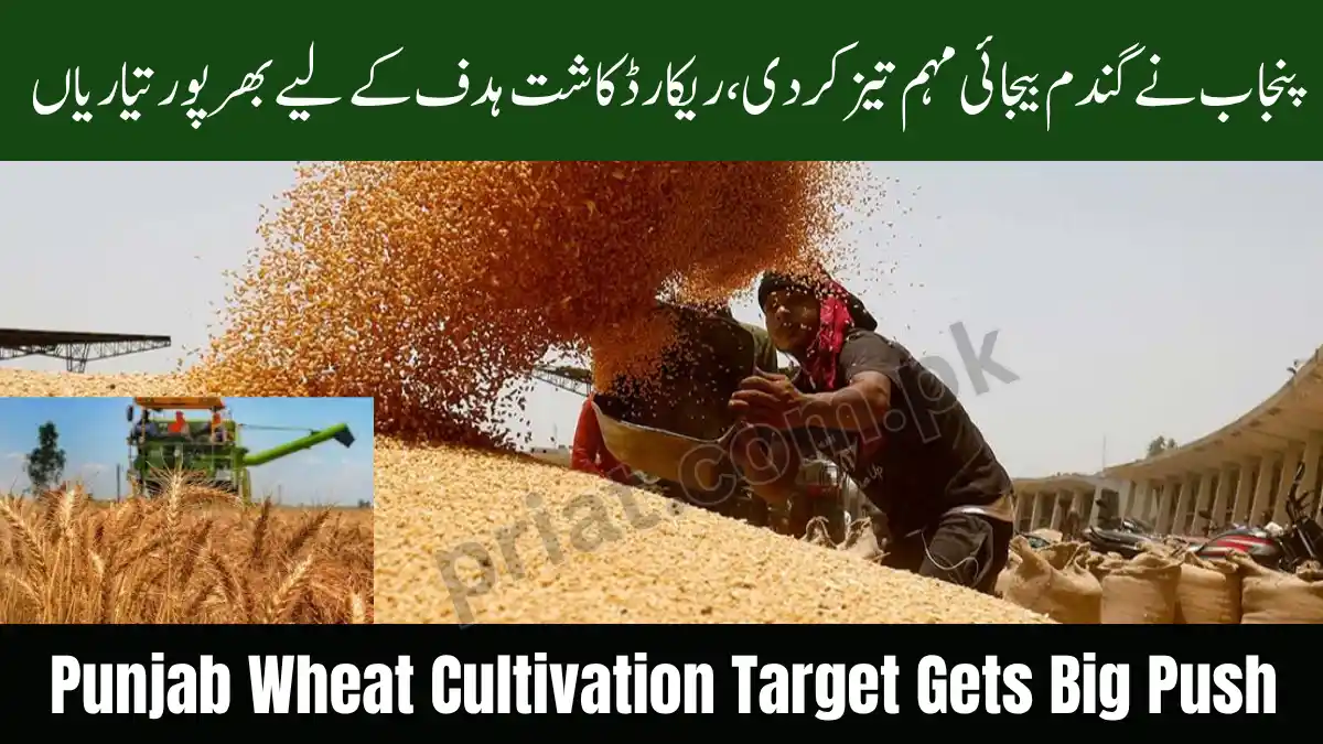 Punjab Boosts Agriculture Minister Wheat Sowing Campaign
