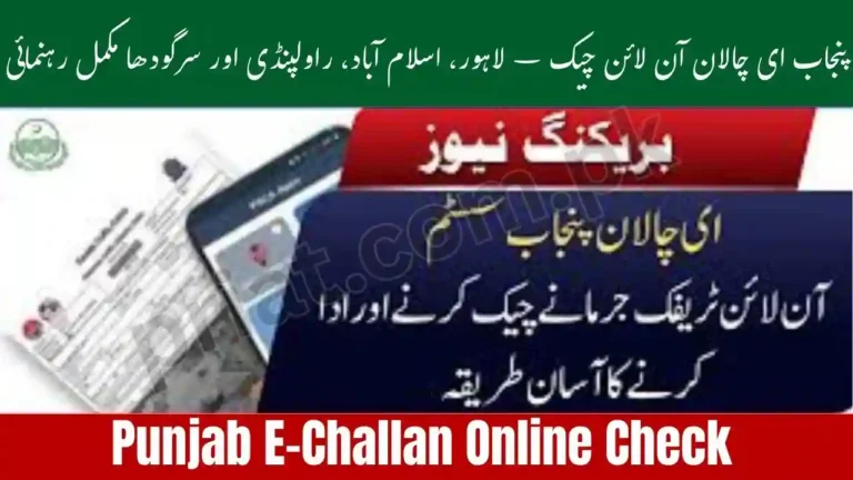 Punjab E-Challan Online Check
