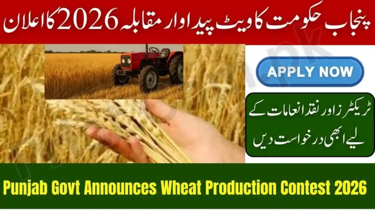 Punjab Govt Announces Wheat Production Contest 2026