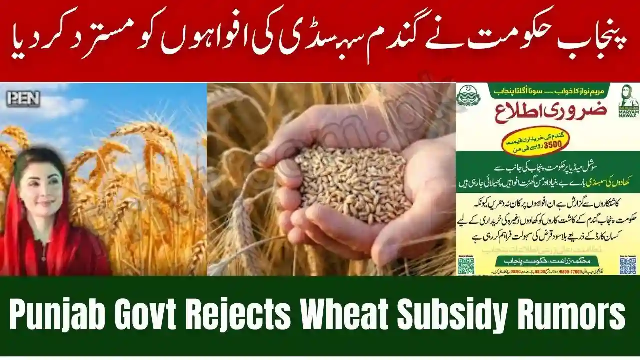 Punjab Govt Rejects Wheat Subsidy Rumors