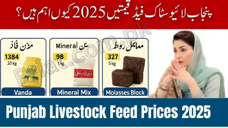 Punjab Livestock Feed Prices 2025