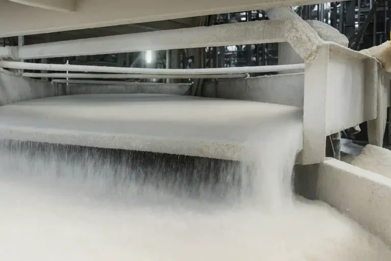 Punjab Notifies 10 Mills Over Crushing Delay