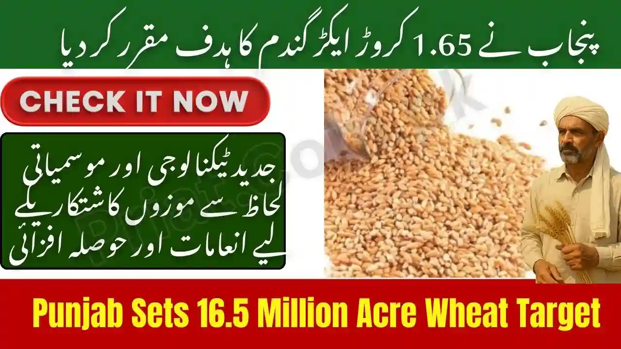 Punjab Sets 16.5 Million Acre Wheat Target