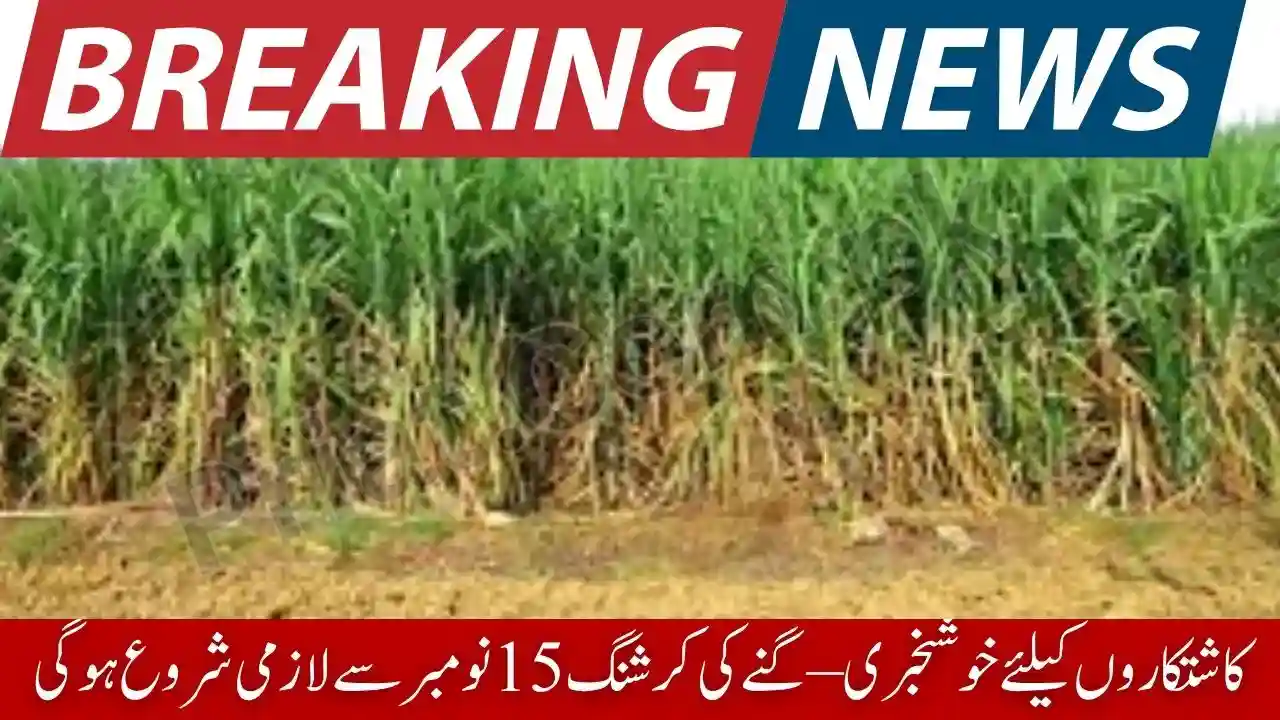 Sugarcane Crushing Season 2025 Starts November 15