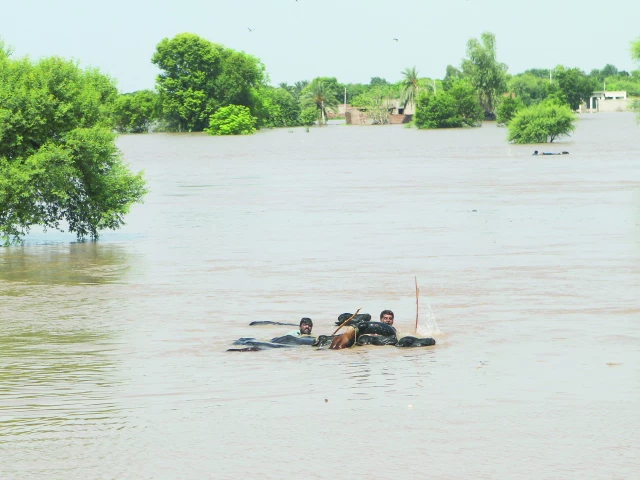 India Releases Water Into Chenab River – Full 2025 Crisis Report, Impact on Pakistan’s Wheat Crop & Water Security