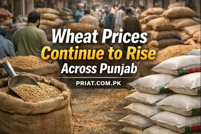 Wheat Prices Continue to Rise Across Punjab