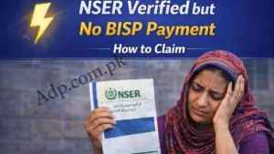 NSER Verified but No BISP Payment – How to Claim