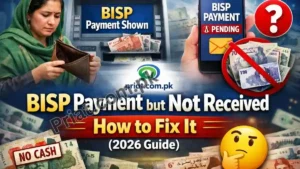 BISP Payment Shown but Not Received – How to Fix It (2026 Guide)