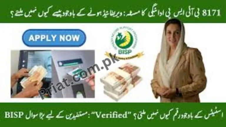 BISP Payment Visible on Portal but Not Withdrawable – Complete Fix