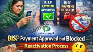 BISP Payment Approved but Blocked – Reactivation Process