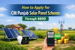 How to Apply for CM Punjab Solar Panel Scheme Through 8800