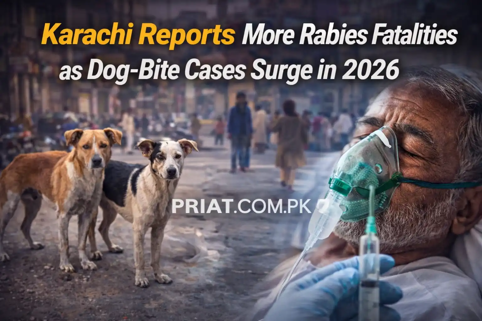 Karachi Reports More Rabies Fatalities as Dog-Bite Cases Surge in 2026